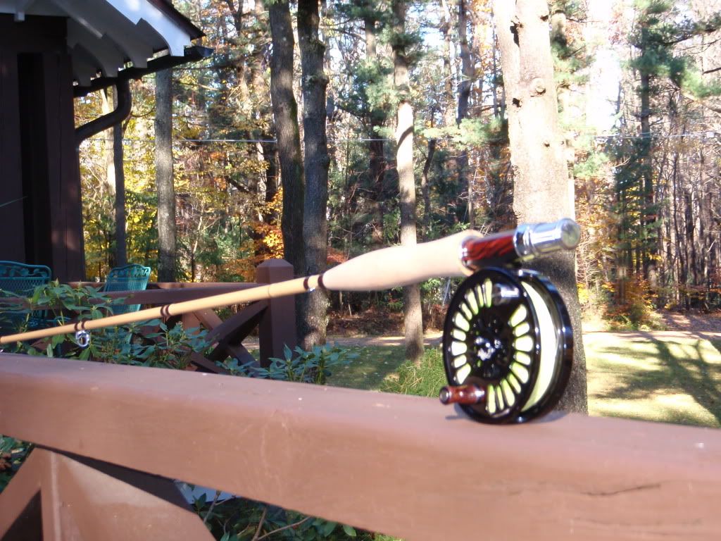 Fiberglass Flyrodders • TL Johnson Synergy SG rod